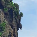 거북펜션 이미지