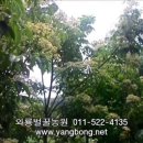 와룡벌꿀농원