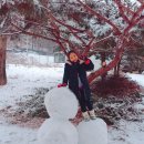 은행나무 펜션 이미지