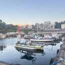 제주 우찌 | [제주/서귀포] 제주도배낚시 추천, 지깅낚시 체험 후기 &#34;광명호&#34;