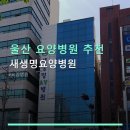 새생명요양병원 | 울산 요양병원 추천 새생명요양병원 친절한 서비스와 체계적인 시스템