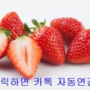 영동범퍼 이미지