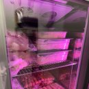 유키노 하나 | 대전 선화동 돈카츠 맛집 유키노카츠