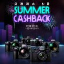 [니콘 E shop] 캐시백 이벤트! 미러리스 6종 SUMMER CASHBACK 2024-08-09 ~ 2024-09-30 이미지