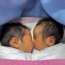 겹 - 강북구 노해로8가길 33 | 겹