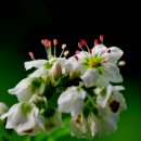 노래공원 이미지