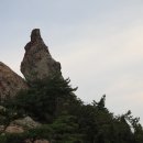장자원 이미지