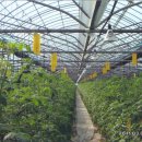 상월농장 이미지