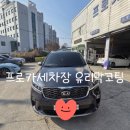 장기3급정비공업사 | 순천세차장 프로카세차장 유리막코팅 후기 | 연향동 손세차장