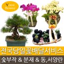 은행정/이곡 네이버블로그