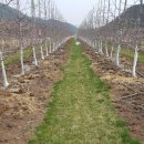 태송농원 이미지