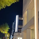 누메로원 | 폴렌느 매장 신사동 가로수길 누메로 네프 미니 구매 후기