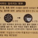 2엑스(2X) 이미지