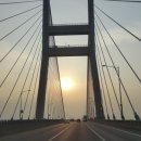 바다와소나무 이미지