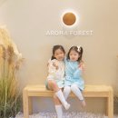 서울 근교 아이와 갈만한 곳_대형 키즈카페 아로하 포레스트 대관 후기