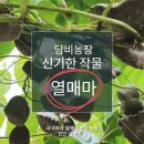 밀양동래밀면 이미지