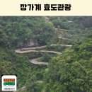 장가계 패키지 부모님 효도관광 보내드리기 좋은 하나투어 부산출발 장가계 직항 4일 내돈내산 후기