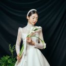 로아나블랑 이미지