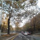 청주가로수길 이미지