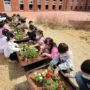 월항초등학교병설유치원 이미지