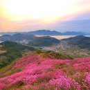 영취산 민박 이미지