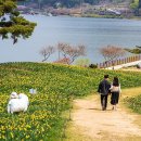 보성다원녹차 판매장 이미지