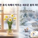 시립은방울어린이집 네이버블로그