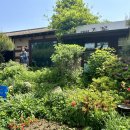 메주꽃이랑 | 서울 근교 한정식 맛집 파주 메주꽃 내돈내산 후기 웨이팅 주차