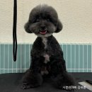 아르떼몽 이미지