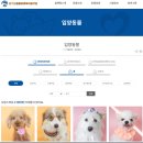 [로켓달려] 유기견 입양 방법, 과정, 절차 후기