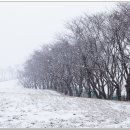 예당목장 이미지