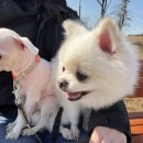 떡이랑 빵이랑 이미지