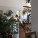 더하우스113(The house 113) 이미지