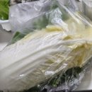 돈통마늘보쌈 매탄점 네이버블로그