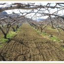 엘림농장 이미지