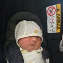 울산 북구 공공산후조리원 | 울산 북구 공공산후조리원 후기...