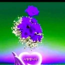 강북21세기병원 이미지