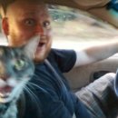 나만고양이없어 이미지