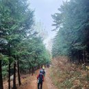 ■ 100대 명산/전남 해남군 "도솔봉+떡봉+달마산" ■ (풍경편) 이미지