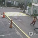 국민족발 이미지