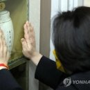 보선 태양광발전소 이미지