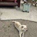 금복 펜션 이미지