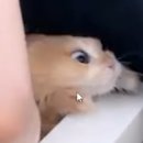 꾸꾸