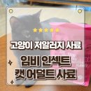 임비 인섹트 캣 어덜트 저알러지 고양이사료 솔직한 급여후기