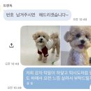 카카오독 | 부천 강아지 생일 맞춤 케이크 [ 트렌독 ] 주문제작 후기