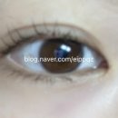 헤어단델리온 네이버블로그
