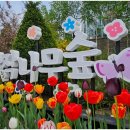 용인자작나무숲펜션 이미지