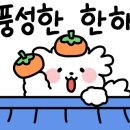 디얼퍼피