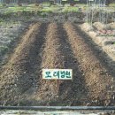 대촌농장 이미지