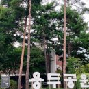 용두역 4번출구 이미지